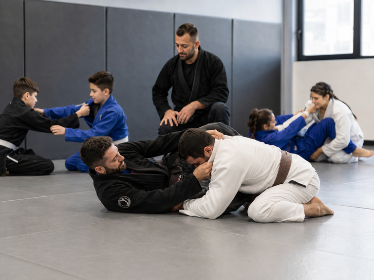 Brazilian Jiu-Jitsu / MMA